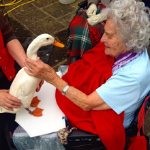 Laurelbank Care Home, Lancaster